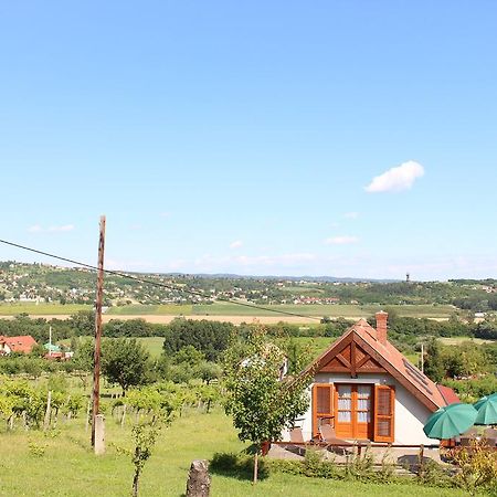 Apartament Panorama Wine & Chill Héviz Zewnętrze zdjęcie
